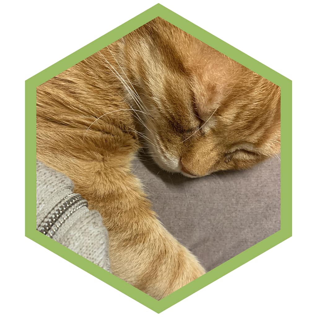 Katze Luke als Warnung vor Giftigkeit für Haustiere.