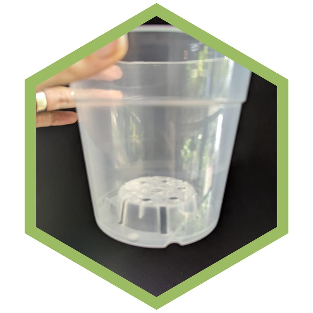 Transparente Töpfe mit Drainagelöchern und erhöhter Basis für ideale Wasserverteilung.